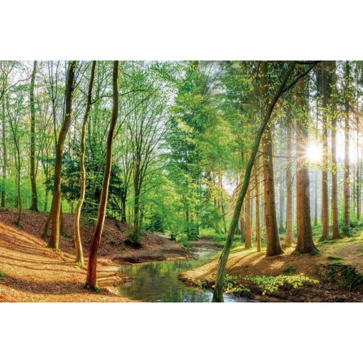 Poster Reinders Spring Woods 044