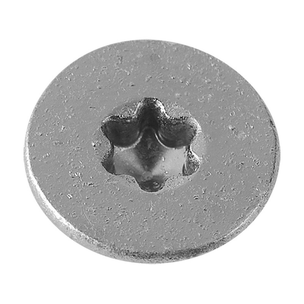 Puitlaastplaadi kruvid TX A2, 4,5 x 70 mm 100 tk