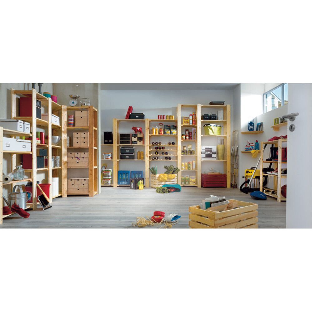 Riiuliplaat Regalux Heavy 46,2 x 50 cm