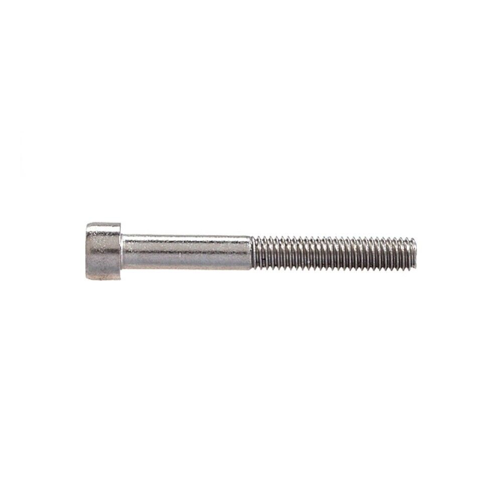 Sisekuuskantpoldid Profi Depot DIN912 A2, 6 x 20 mm, 100 tk