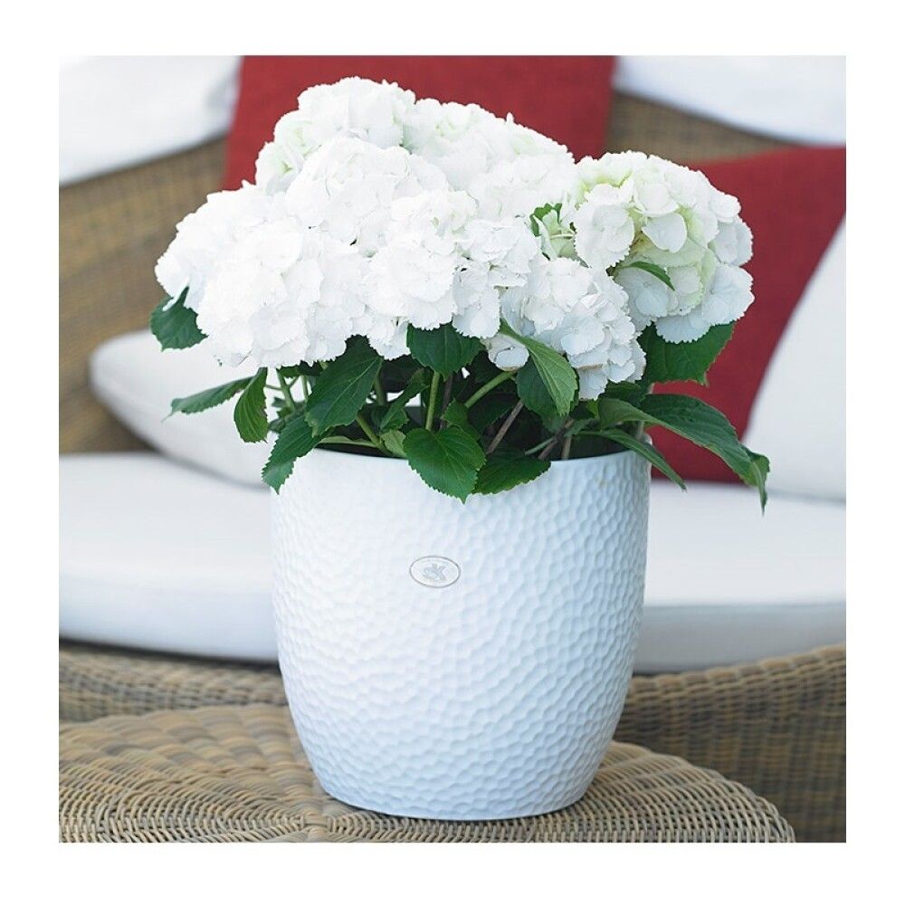 Ümbrispott Boston Ø 27 cm