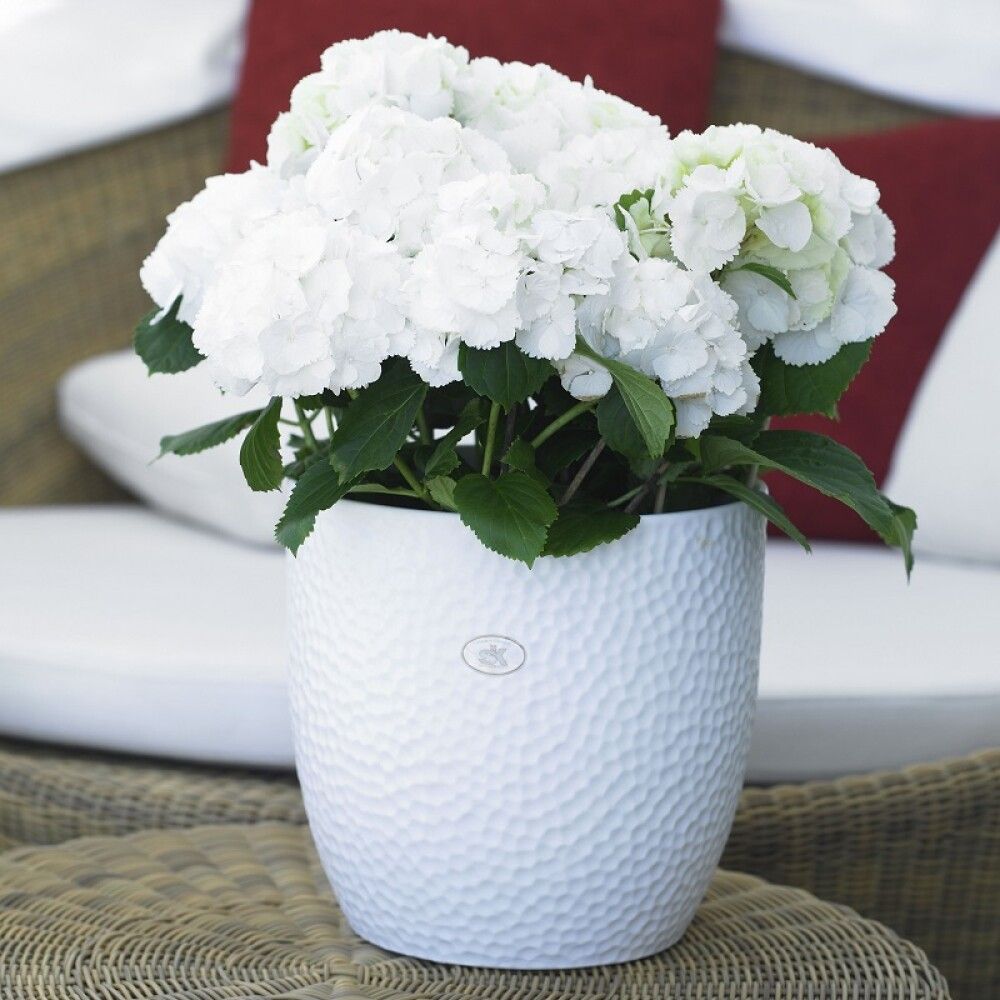 Ümbrispott Boston Ø 16 cm