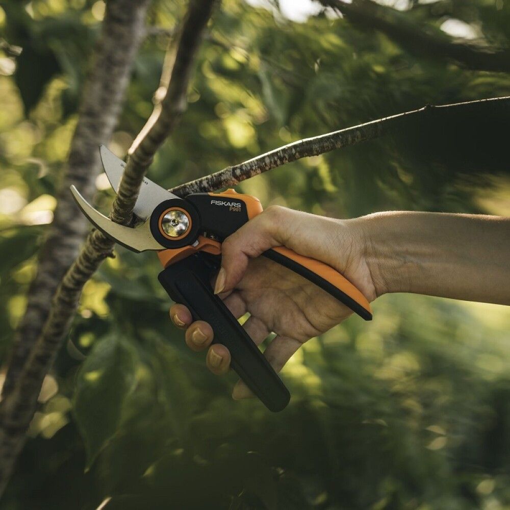 Oksakäärid Bypass XPG L