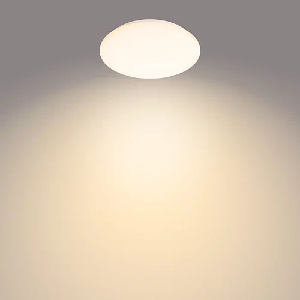 Plafoon Philips Moire CL200 10 W