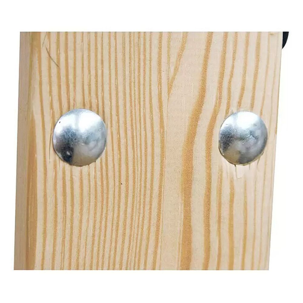 Puidupoldid mutriga Profi Depot ZN, DIN603, 5 x 30 mm, 100 tk