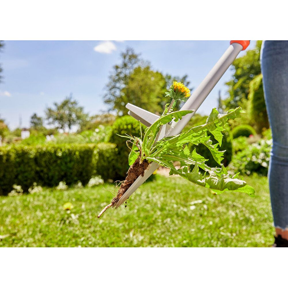 VÕILILLEJUURIJA GARDENA
