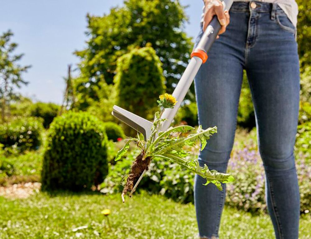 VÕILILLEJUURIJA GARDENA