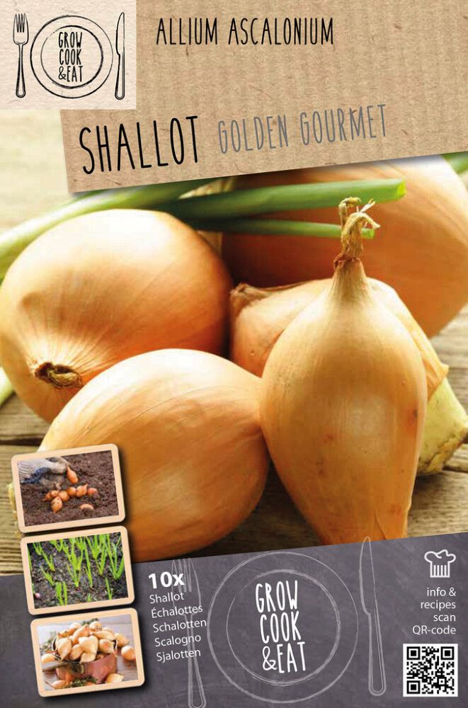 Salottsibul Kapiteyn Golden Gourmet 10 tk