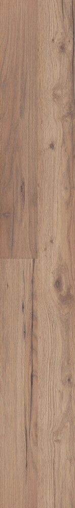 Laminaatparkett Logoclic Family Tamm Prizzi 7 mm KL31