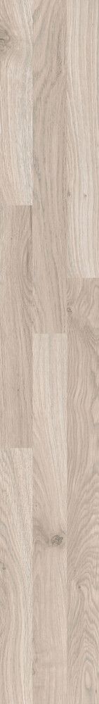 Näidis Family Tamm Narvik