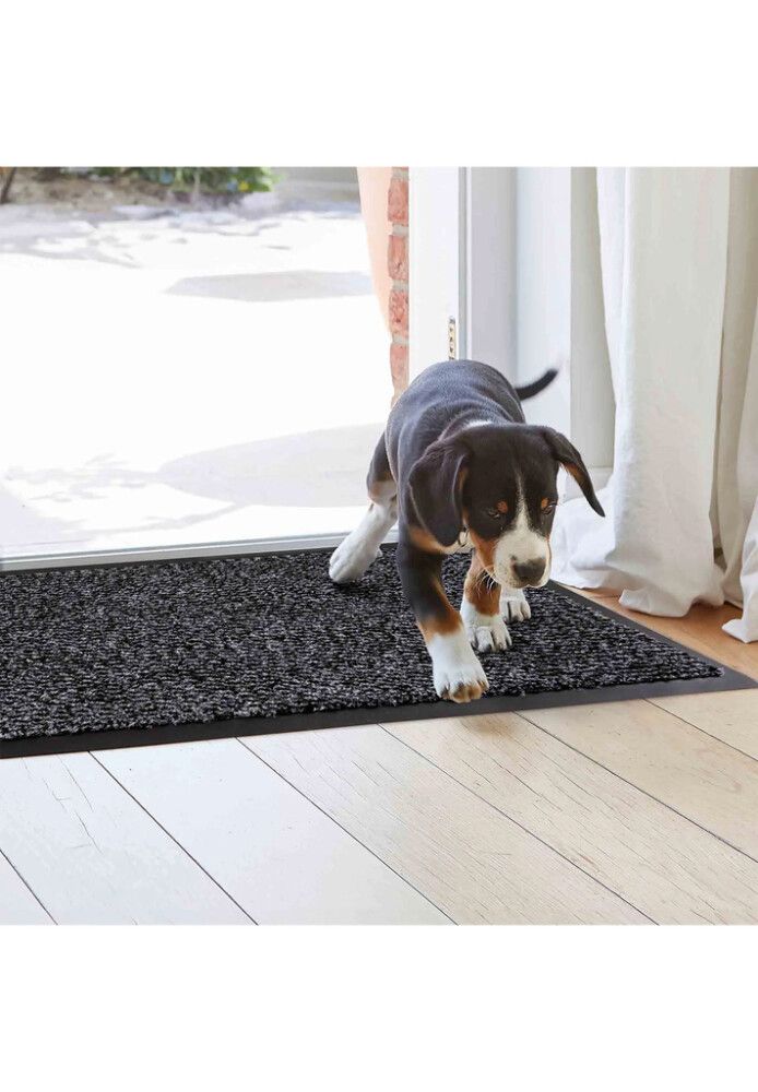 Uksematt Astra Saphir 90 x 150 cm, hall