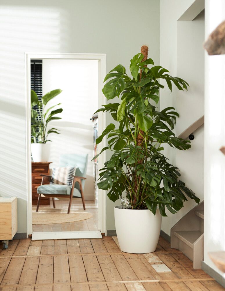 Ümbrispott Elho Brussels Wheels