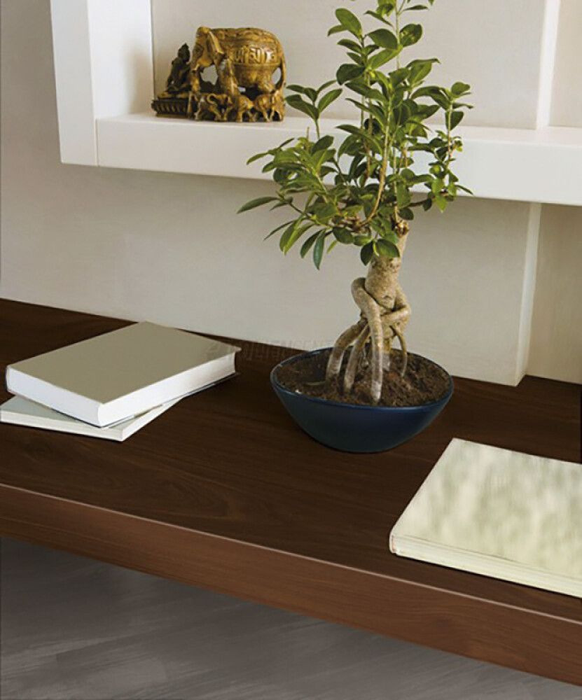 Kleepkile Apfelbrike Schokolade 67,5 x 200 cm