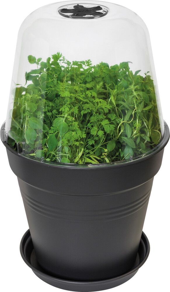 Istutuspott Elho Green Basics