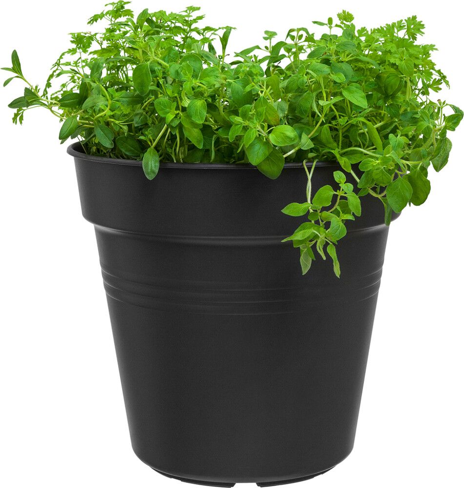 Istutuspott Elho Green Basics