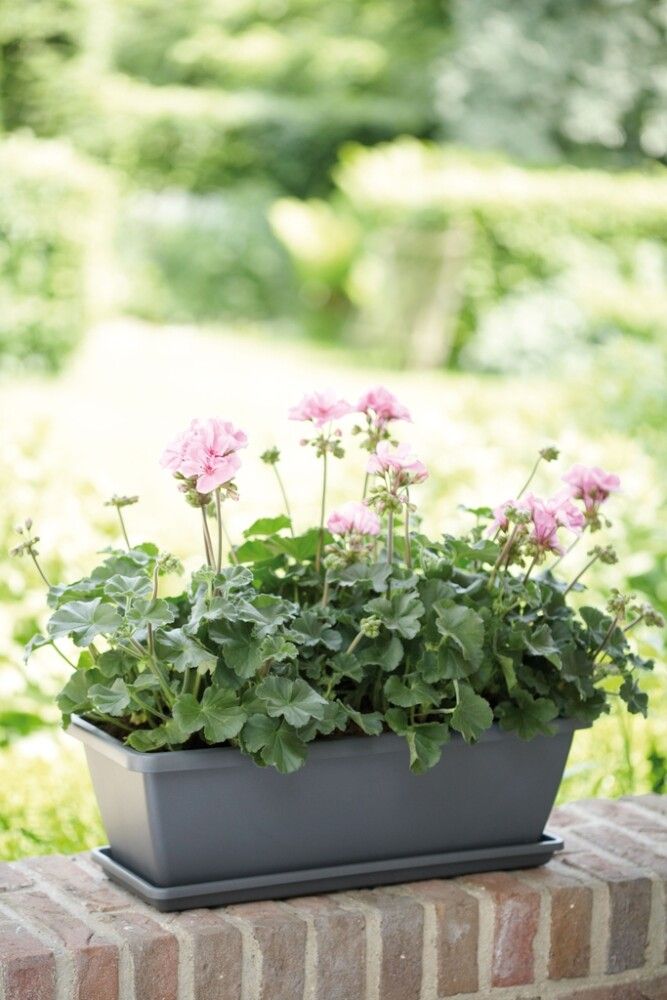 Rõdukast Barcelona 50 cm