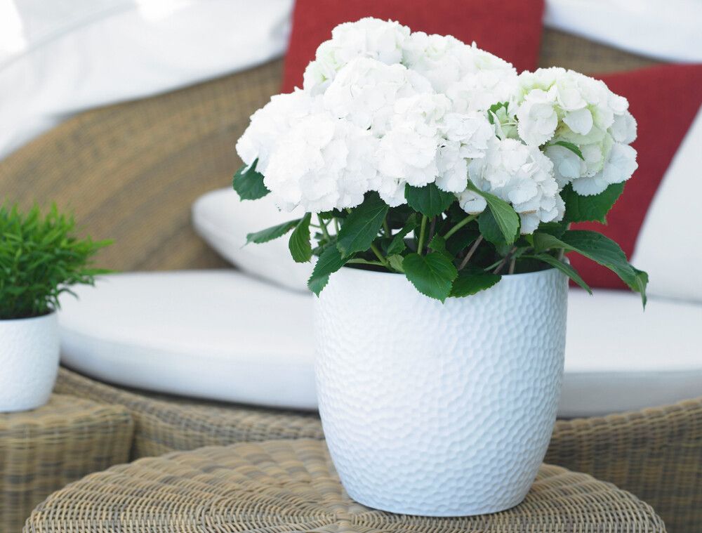 Ümbrispott Boston matt valge 14 cm