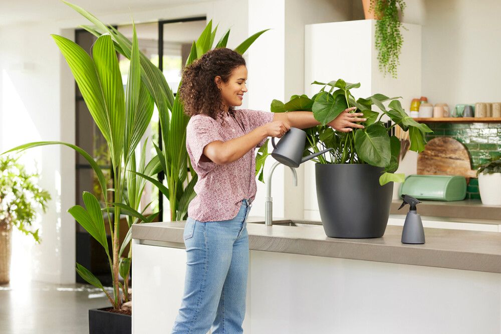 Kastekann Brüssel 1,8 l, tumehall