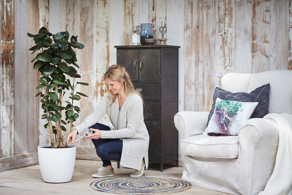 Automaatne kastja Aqua Care, läbipaistev