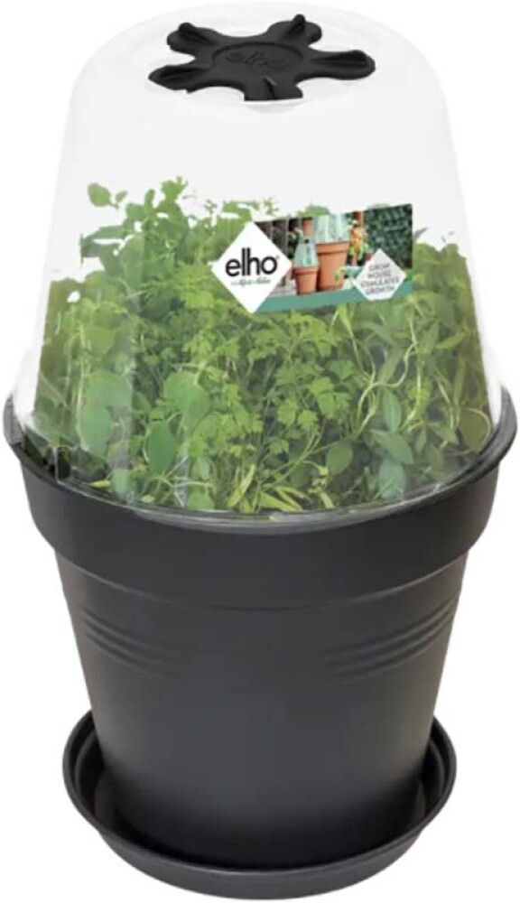 Istutuspoti kaas Ø 17 cm