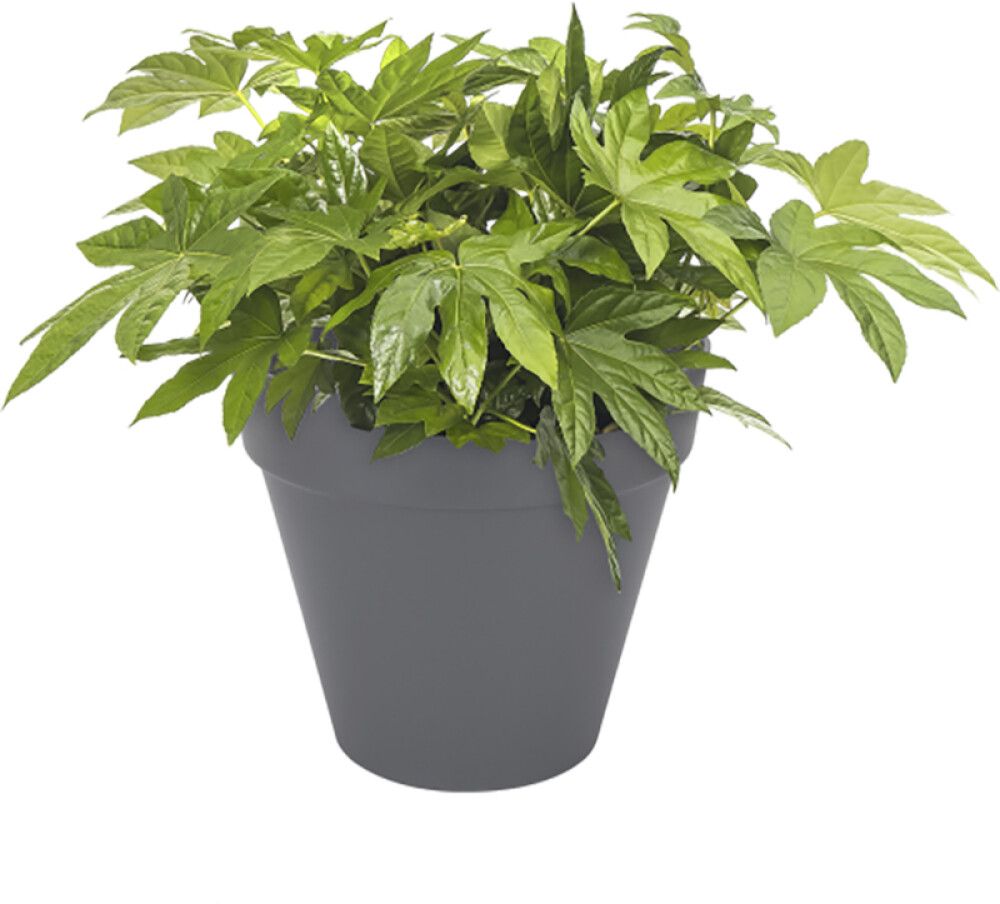 Lillepott Loft 50 cm