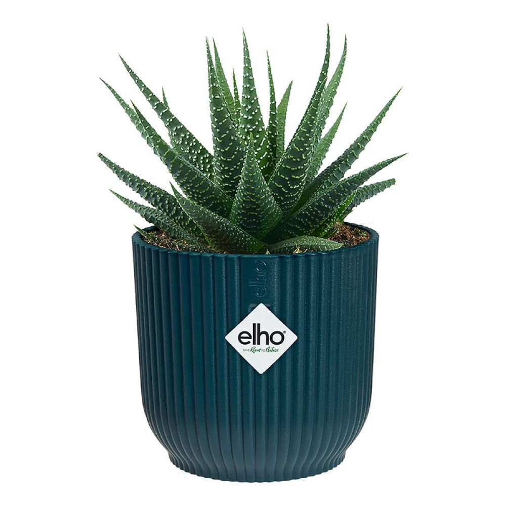 Ümbrispott Elho Vibes Ø 9 cm, sinine