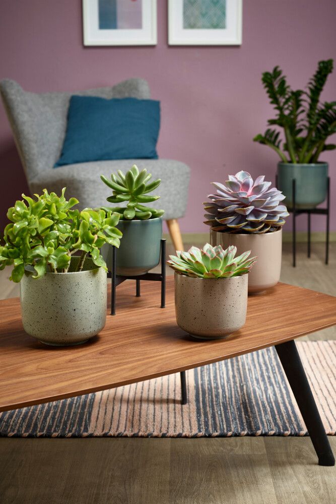 Ümbrispott Bari Ø 16 cm, hall