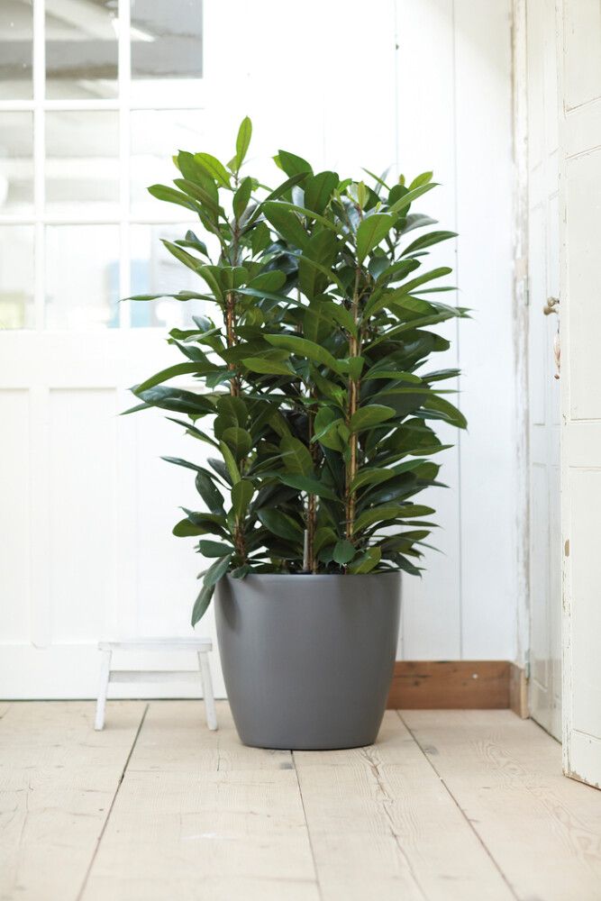 Ümbrispott Brussels Ø 40 cm, tumehall