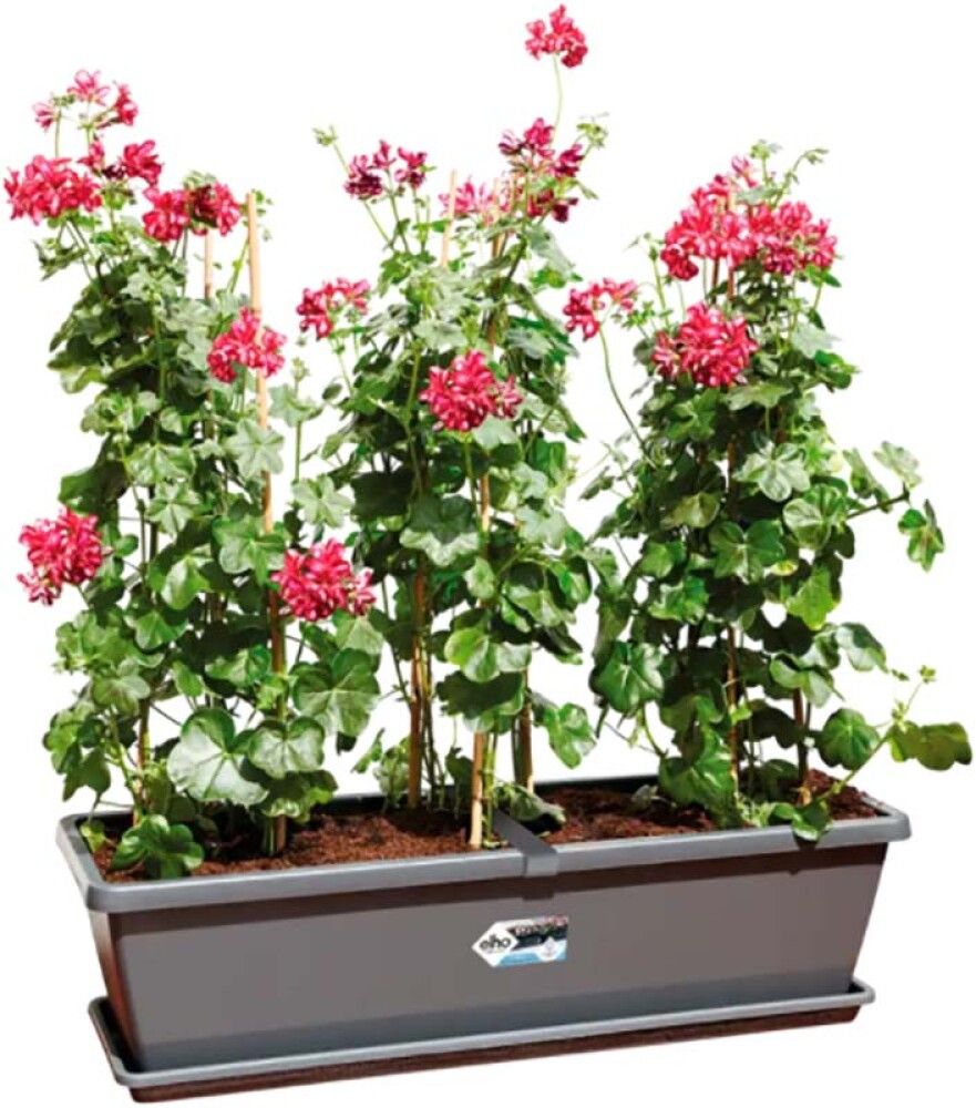 Rõdukast Barcelona XL 60 cm, grafiithall