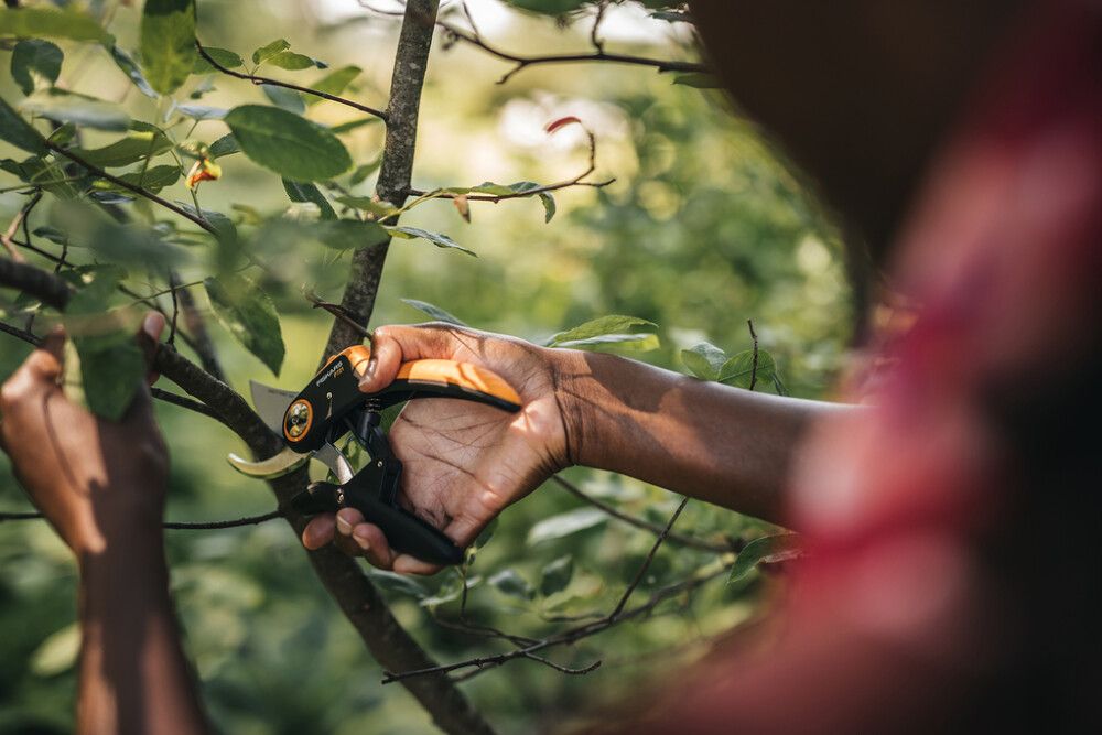 Oksakäärid Fiskars Plus Pruner Bypass