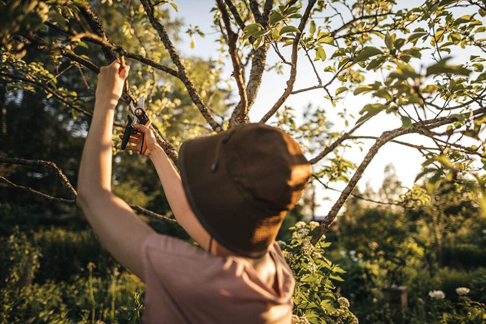 Oksakäärid Fiskars Plus Pruner Bypass
