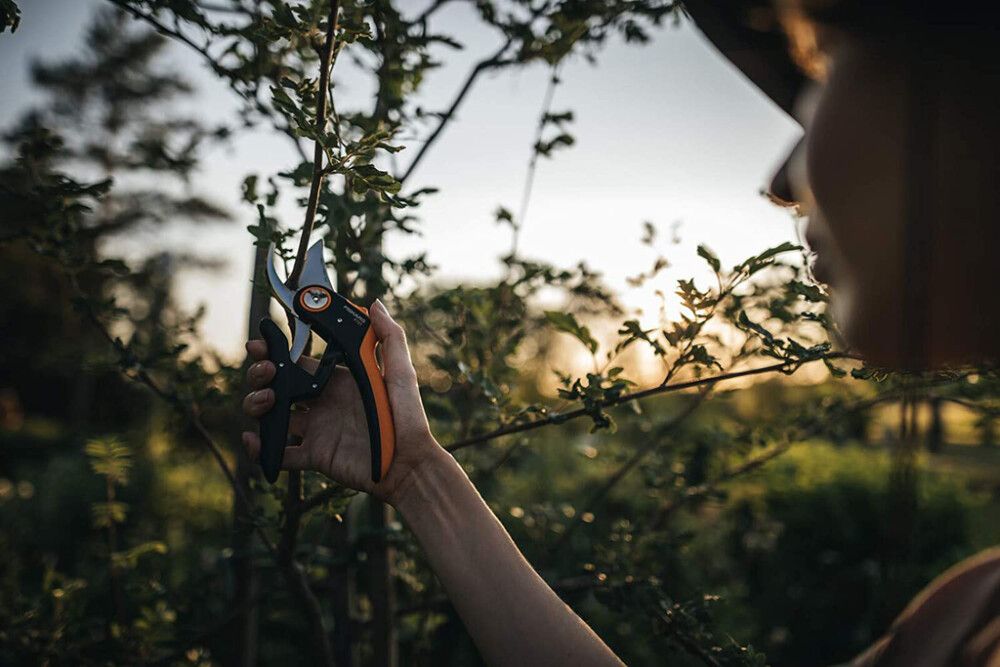Oksakäärid Fiskars Plus Pruner Bypass
