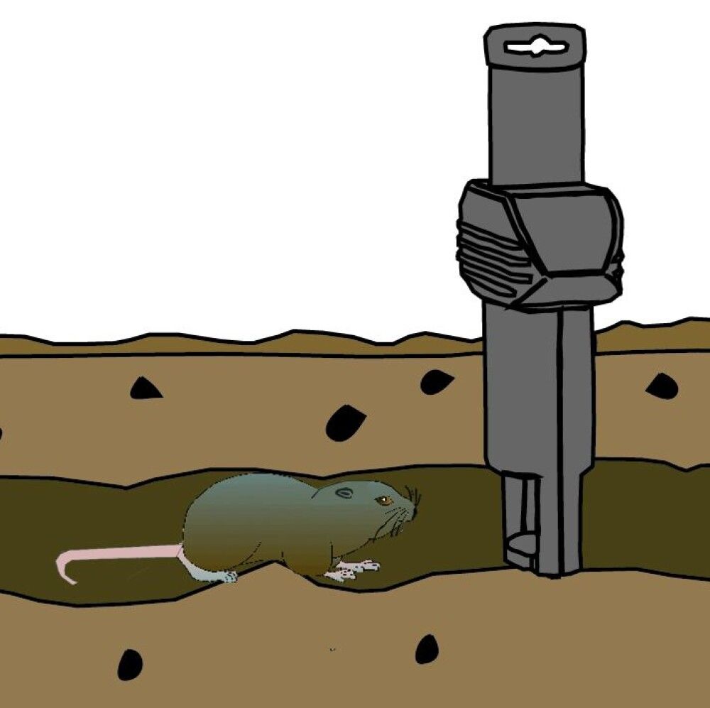 VESIROTILÕKS SUPER CAT