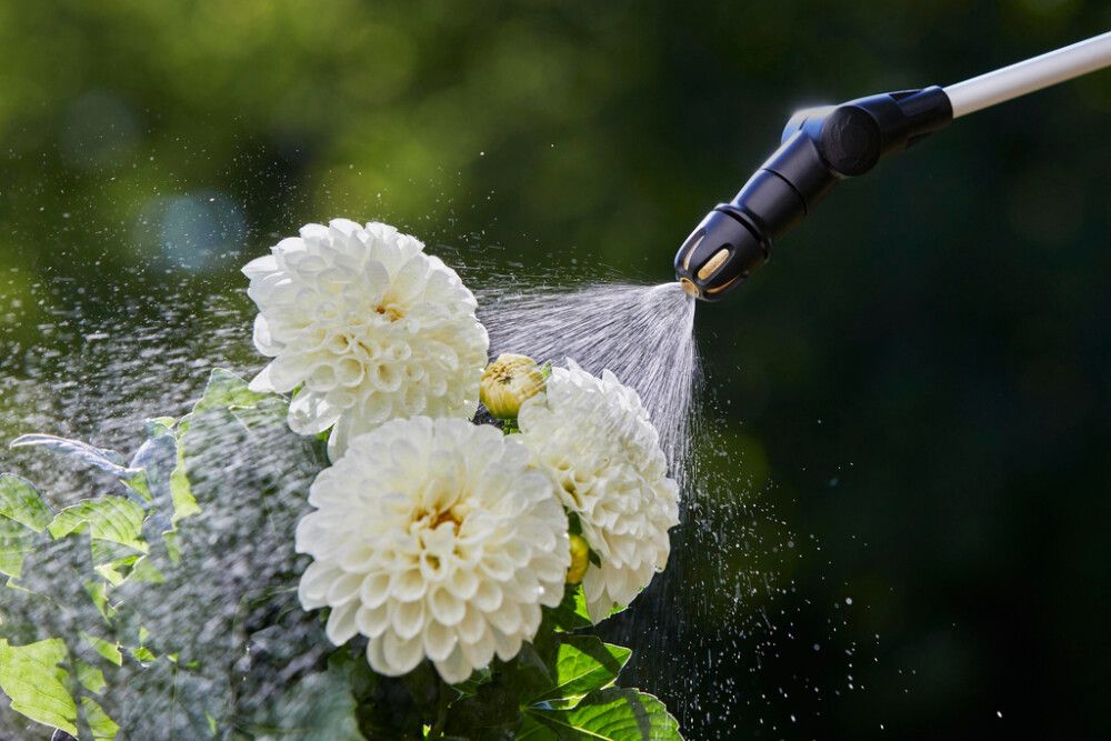 Survepihusti Gardena Plus 5l