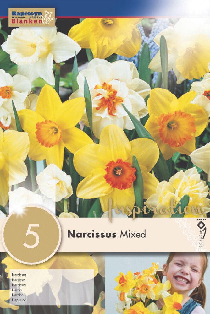 Nartsiss Mix 5 tk