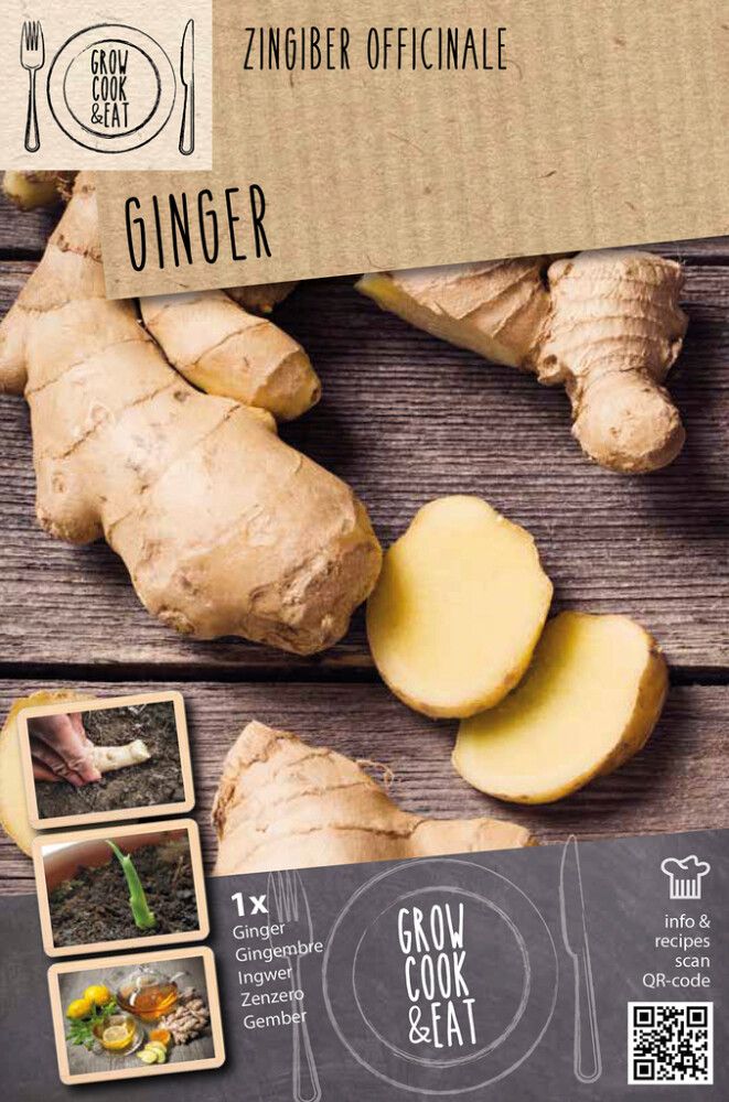 Ingver Kapiteyn 1 tk