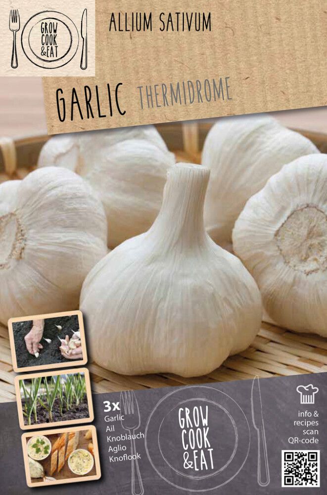 Küüslauk Kapiteyn Thermidrome White 3 tk