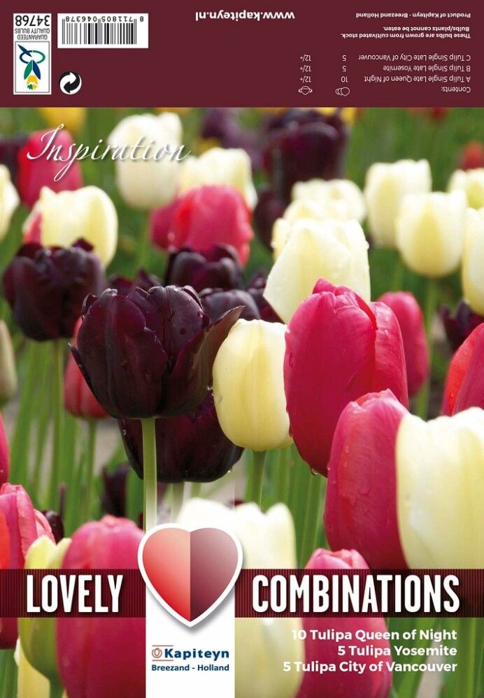 Tulpide segu Late Black, Pink and White 15 tk