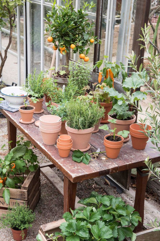 Savipott Stan Ø 15,5 cm