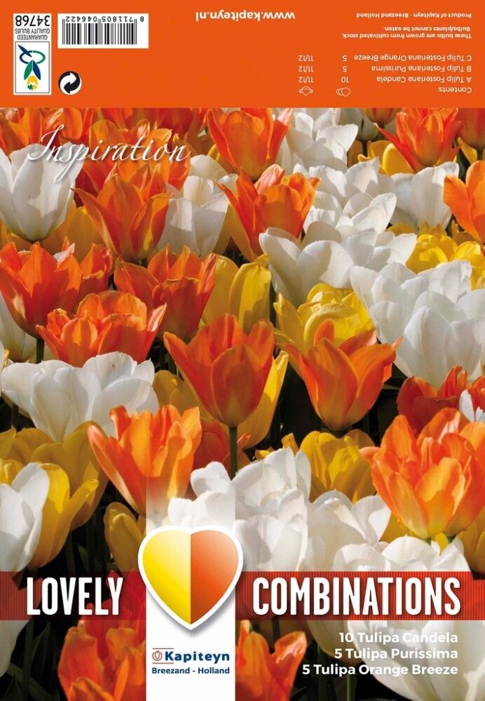 Tulpide segu White, yellow and  orange 20 tk