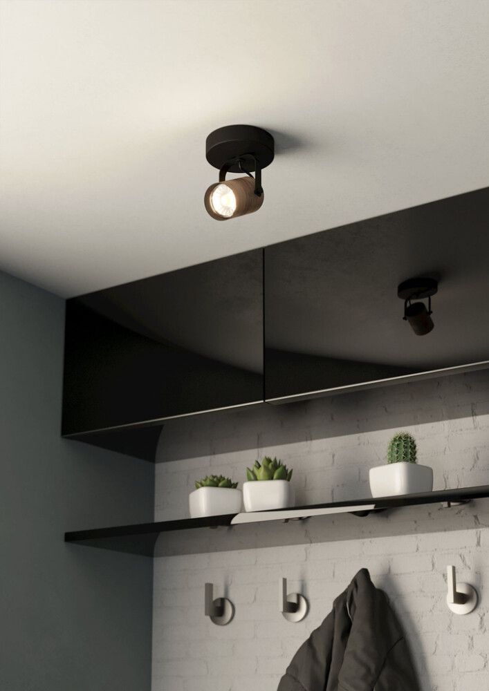 Kohtvalgusti Eglo Cayuca 1-osaline