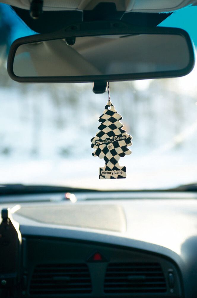 Lõhnakuusk Victory Line