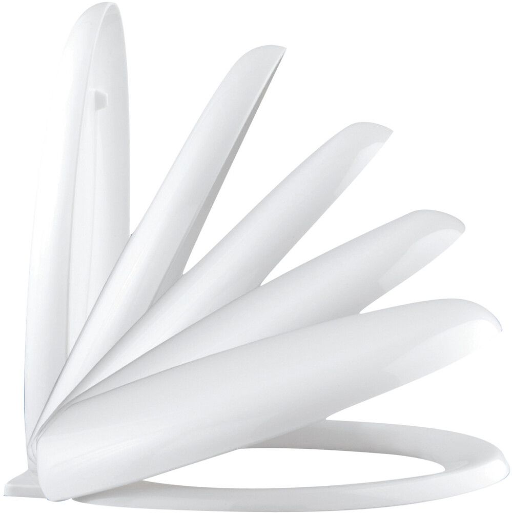 Prill-laud Poseidon Miami