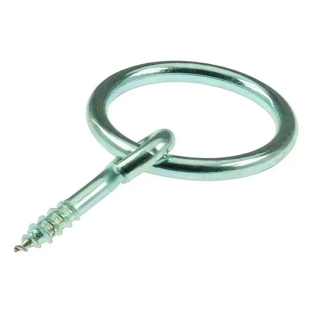 Rõngaskruvi tsingitud 4 x 41 mm 2 tk