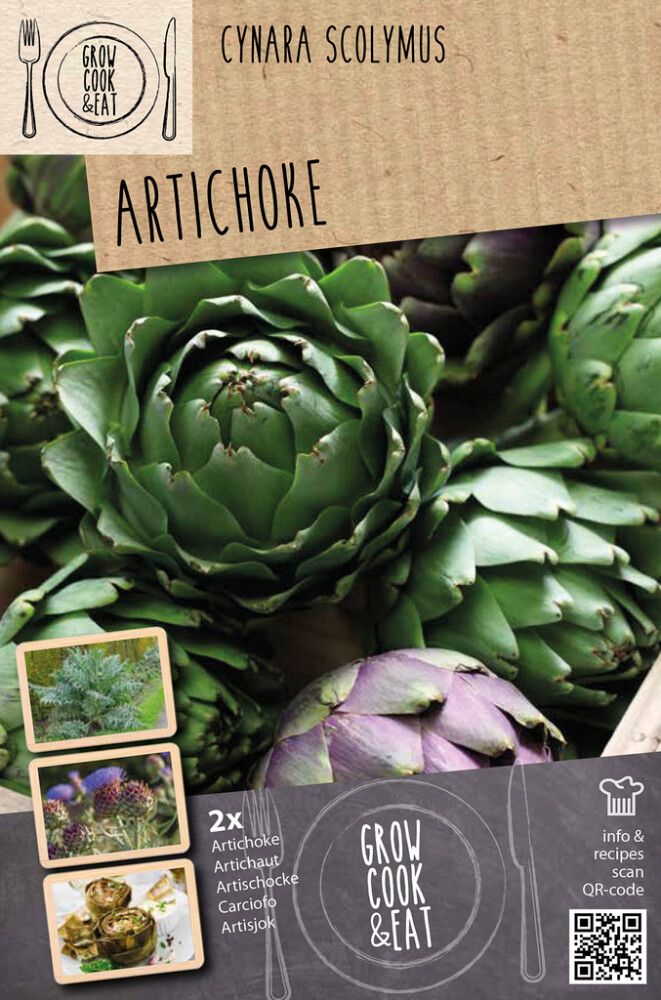Harilik artišokk Kapiteyn 2 tk