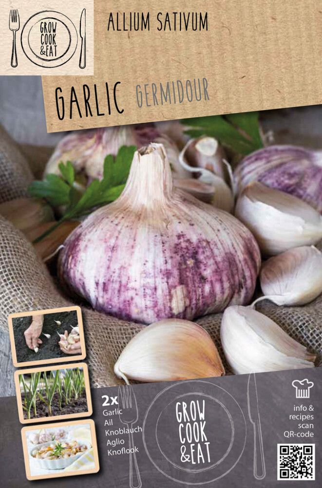 Küüslauk Germidour Pink 2 tk