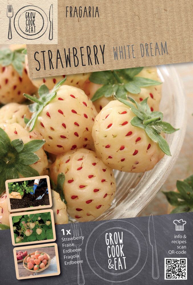 Maasikas Kapiteyn Ananassia Whit 1 tk