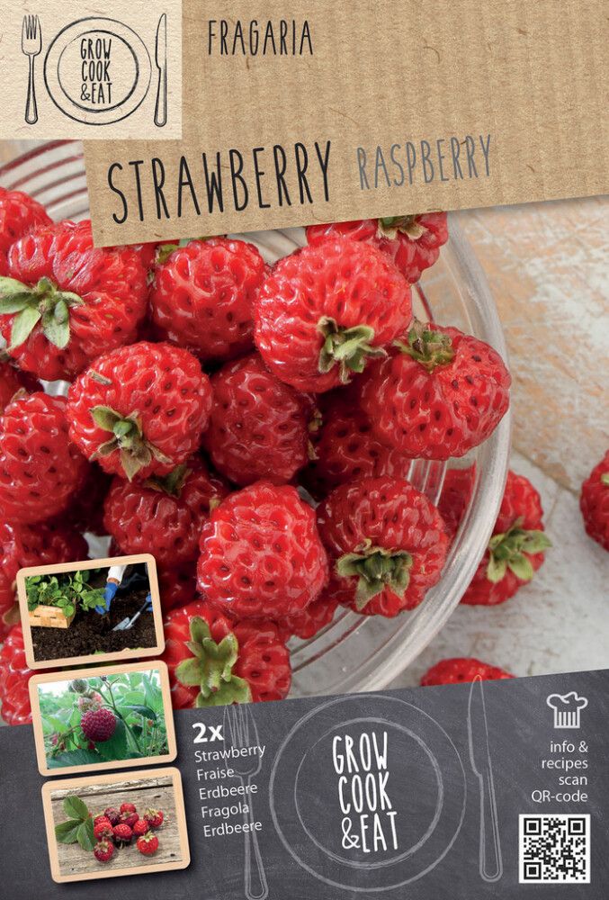 Maasikas Kapiteyn Raspberry 2 tk