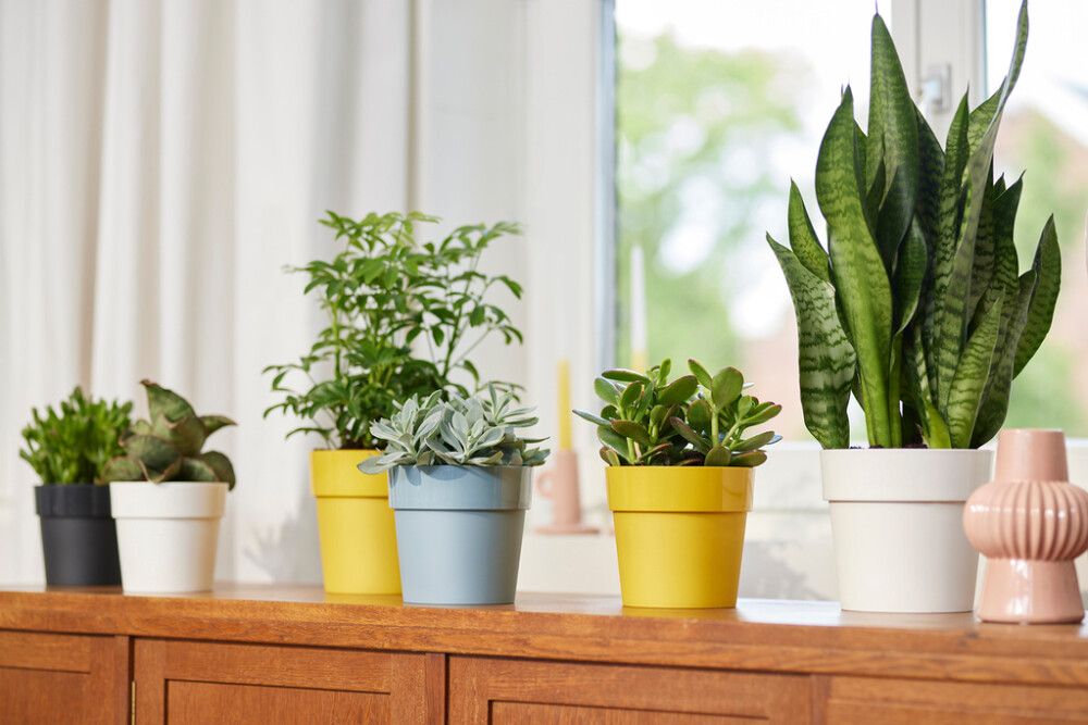 Ümbrispott Elho B. For Original Ø 7 cm, sinine