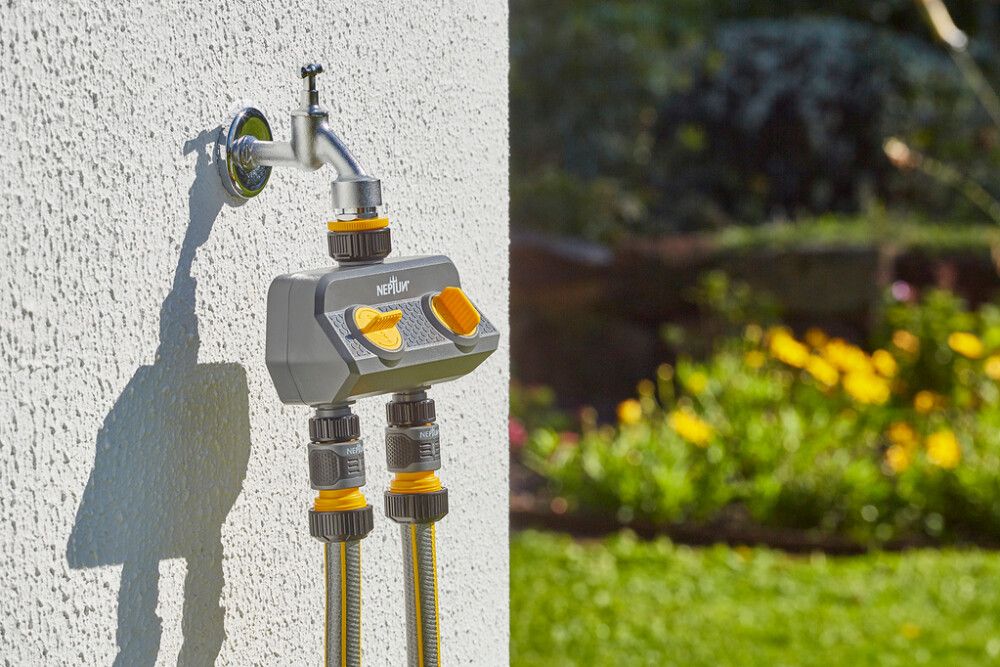 Kaksik kraaniliitmik Neptun